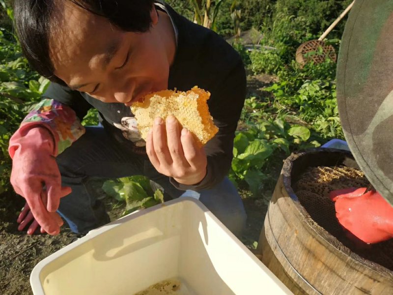 重庆城口高山药材花蜂蜜，假一赔十，欢迎品尝。