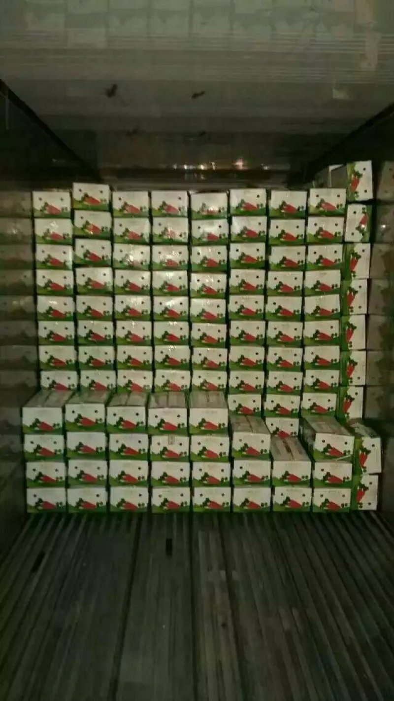优质胡萝卜大量上市欢迎前来采