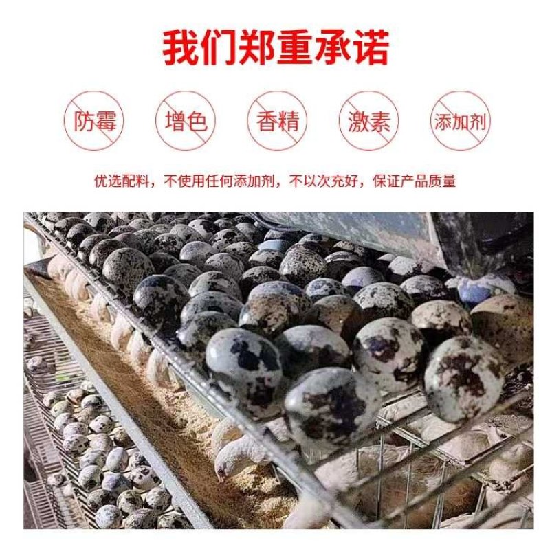 鹌鹑饲料产蛋料