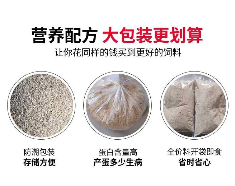 鹌鹑饲料产蛋料