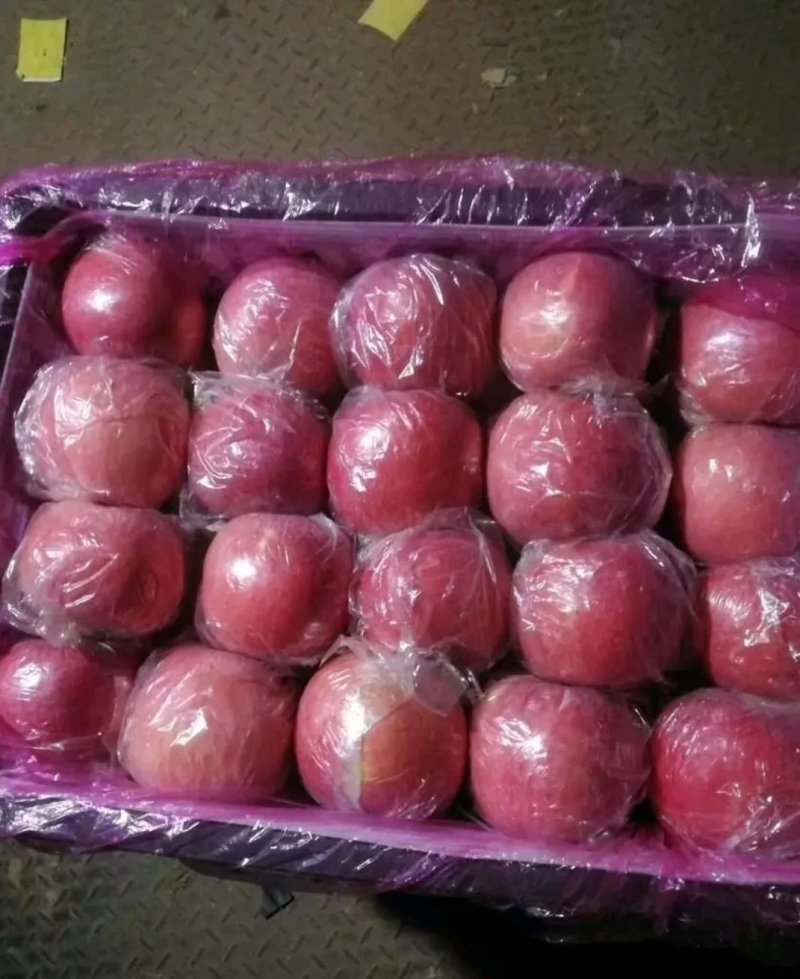 高品质红富士苹果🍎，现已上市！需要的赶快预订了！
