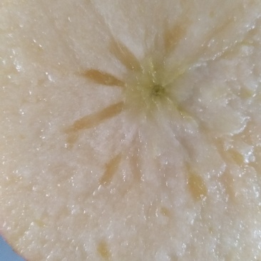 高品质红富士苹果🍎，现已上市！需要的赶快预订了！