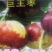 果树苗新品种清香核桃苗俄八樱桃苗法兰西西梅苗等
