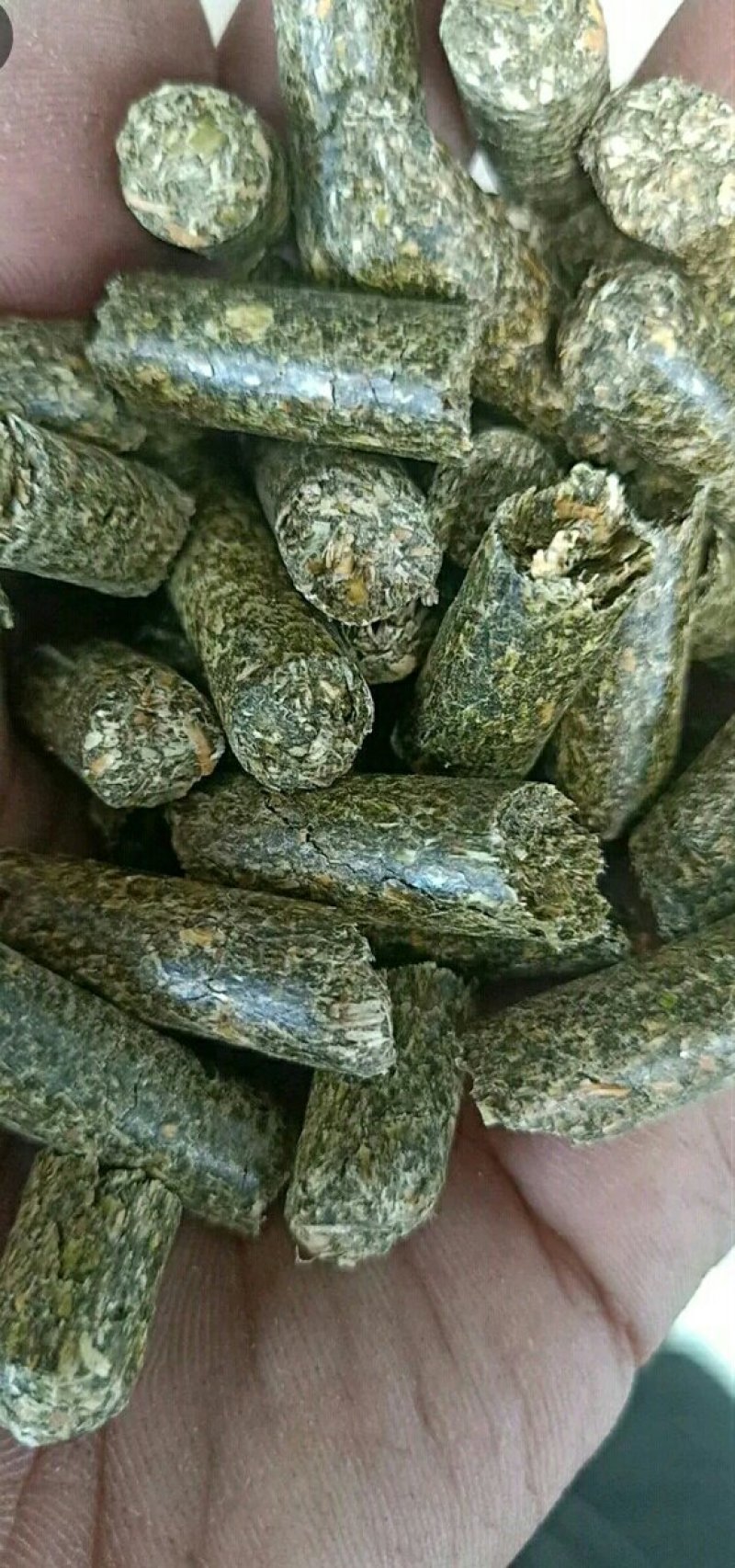 苜蓿颗粒苜蓿草颗粒甘肃苜蓿草颗粒生产苜蓿草饲料