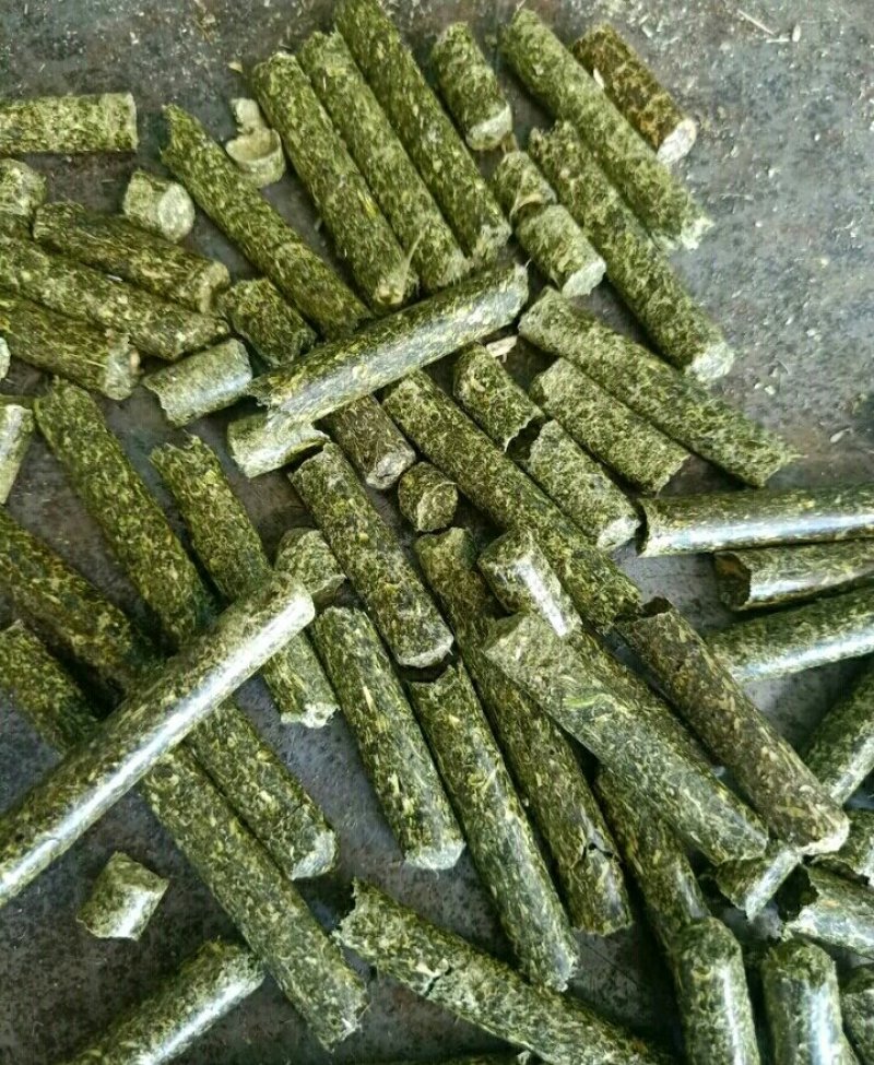苜蓿颗粒苜蓿草颗粒甘肃苜蓿草颗粒生产苜蓿草饲料