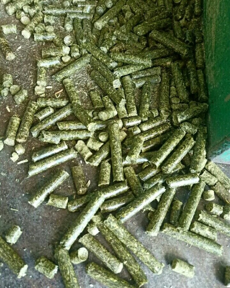 苜蓿颗粒苜蓿草颗粒甘肃苜蓿草颗粒生产苜蓿草饲料
