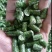苜蓿颗粒苜蓿草颗粒甘肃苜蓿草颗粒生产苜蓿草饲料