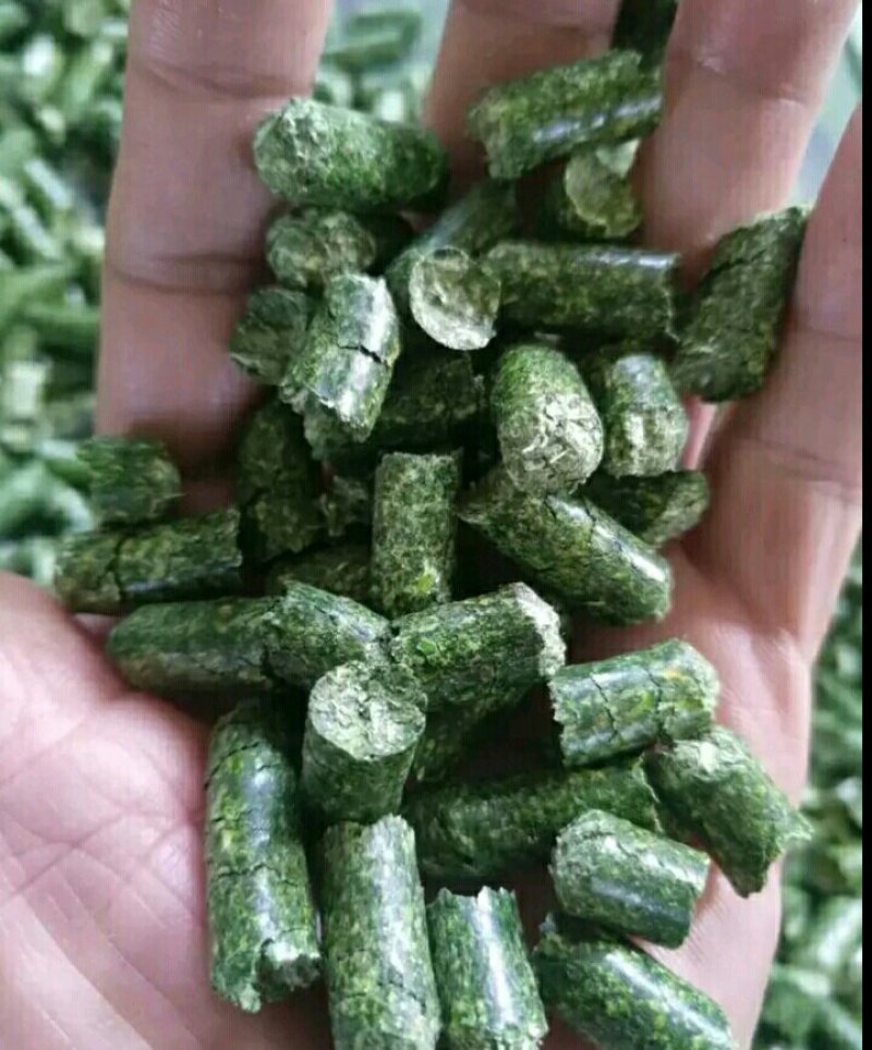 苜蓿颗粒苜蓿草颗粒甘肃苜蓿草颗粒生产苜蓿草饲料