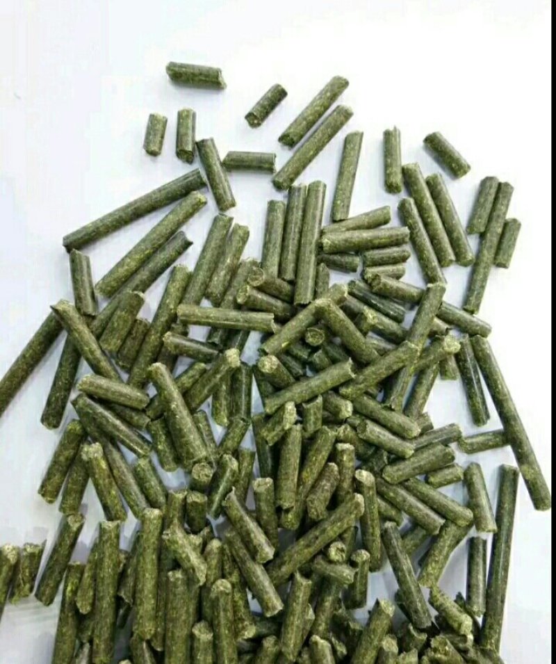 苜蓿颗粒苜蓿草颗粒甘肃苜蓿草颗粒生产苜蓿草饲料