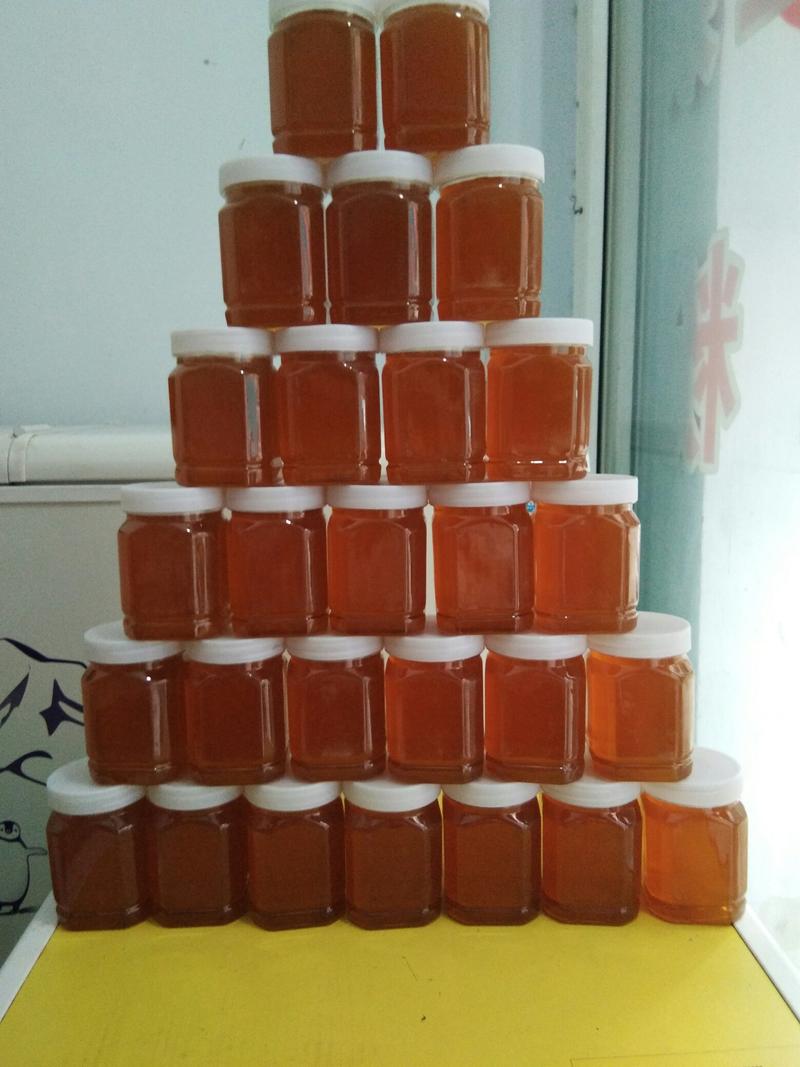 【枣花蜜】蜂场直销塑料瓶装大桶装高浓度枣花蜜二斤起