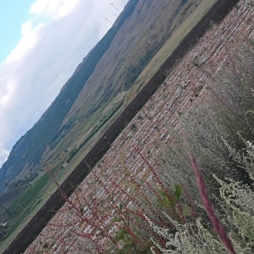 山地
