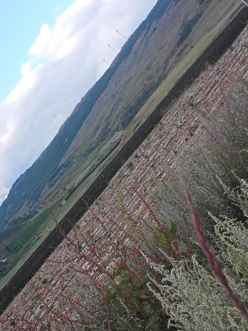 山地