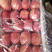 《推荐陕西膜袋精品红富士苹果》颜色红，脆甜，货源充足！