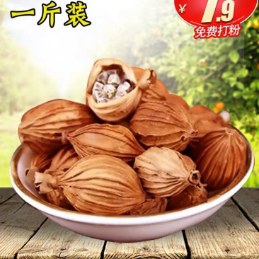 砂仁
