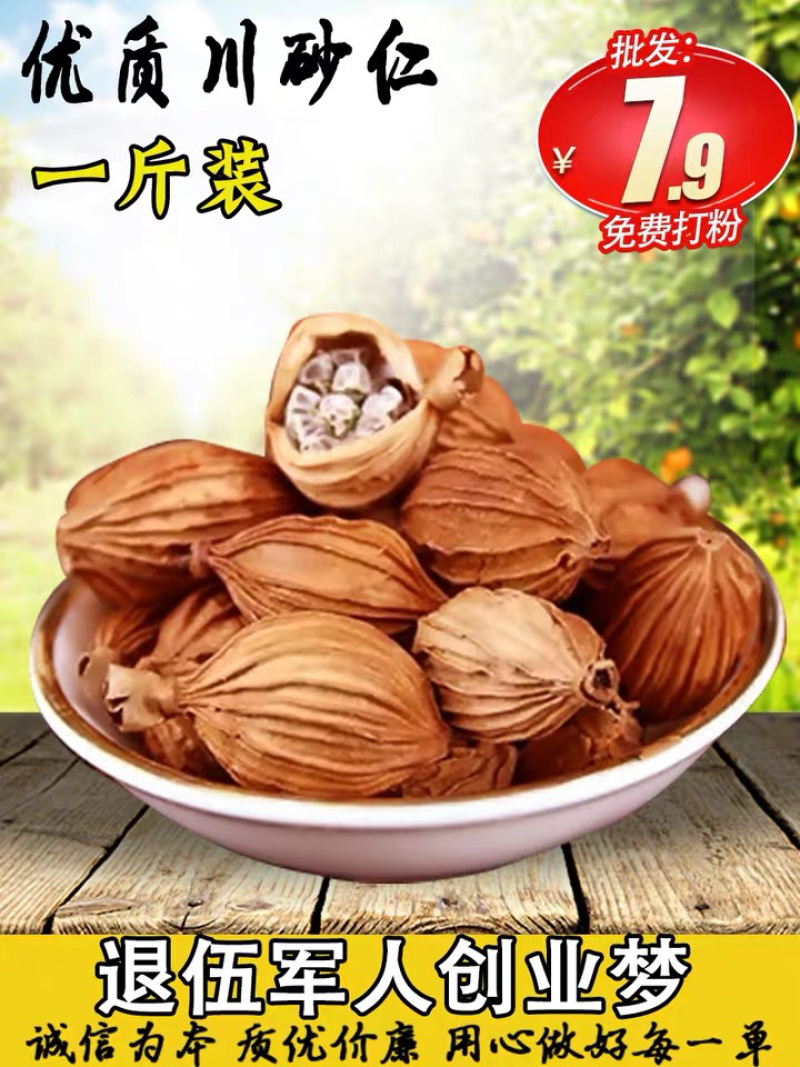 砂仁