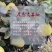 福建莆田仙游度尾老树红心文旦柚，皮薄肉嫩汁多，可代发
