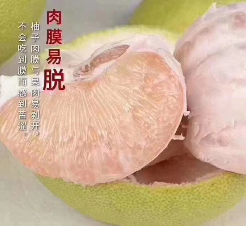 福建莆田仙游度尾老树红心文旦柚，皮薄肉嫩汁多，可代发
