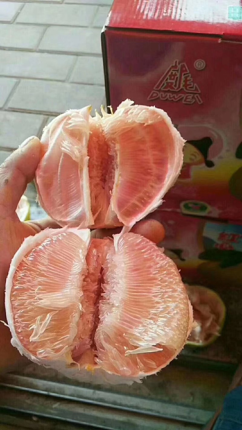 福建莆田仙游度尾老树红心文旦柚，皮薄肉嫩汁多，可代发