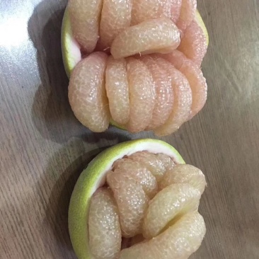 福建莆田仙游度尾老树红心文旦柚，皮薄肉嫩汁多，可代发