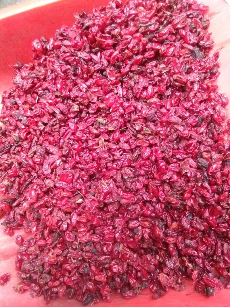 陕西山茱萸，山萸肉颜色好无籽干度好，可以泡酒也可以做药。