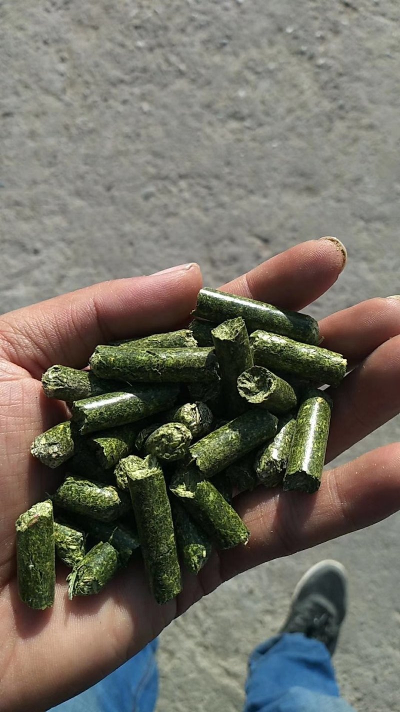 苜蓿草颗粒牧草颗粒饲料颗粒紫花苜蓿草颗粒批发
