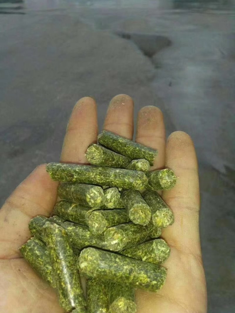 苜蓿草颗粒牧草颗粒饲料颗粒紫花苜蓿草颗粒批发