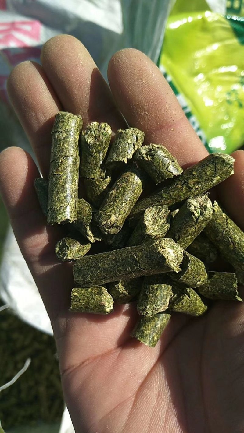 苜蓿草颗粒牧草颗粒饲料颗粒紫花苜蓿草颗粒批发
