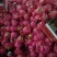 ️柚子️红心️白心柚子️产地直销农户一手货源
