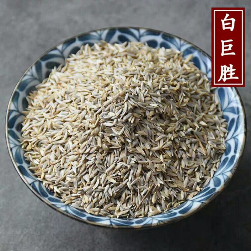 巨胜子白巨胜产地直供支持线上交易各种规格