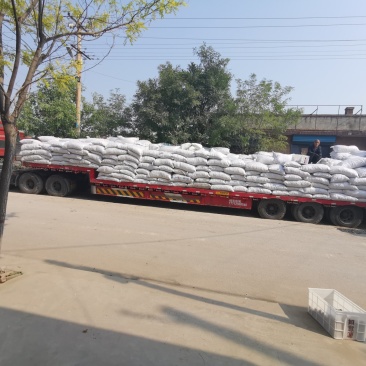 核桃仁产地发货185高质量尖普白25斤/箱一件代发