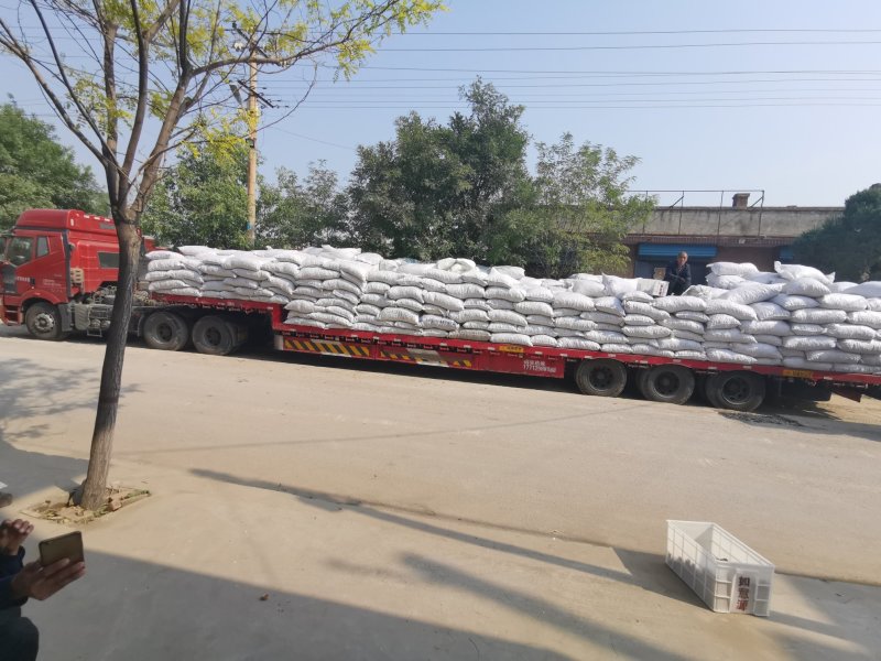 核桃仁产地发货185高质量尖普白25斤/箱一件代发