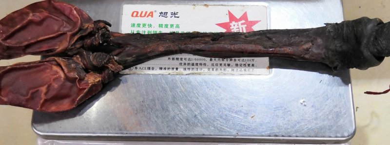 包邮驴鞭大驴鞭鞭大鞭长鞭长驴鞭各种鞭