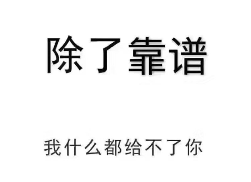 【精品】连翘苗绿化苗木易养护基地直发量大从优