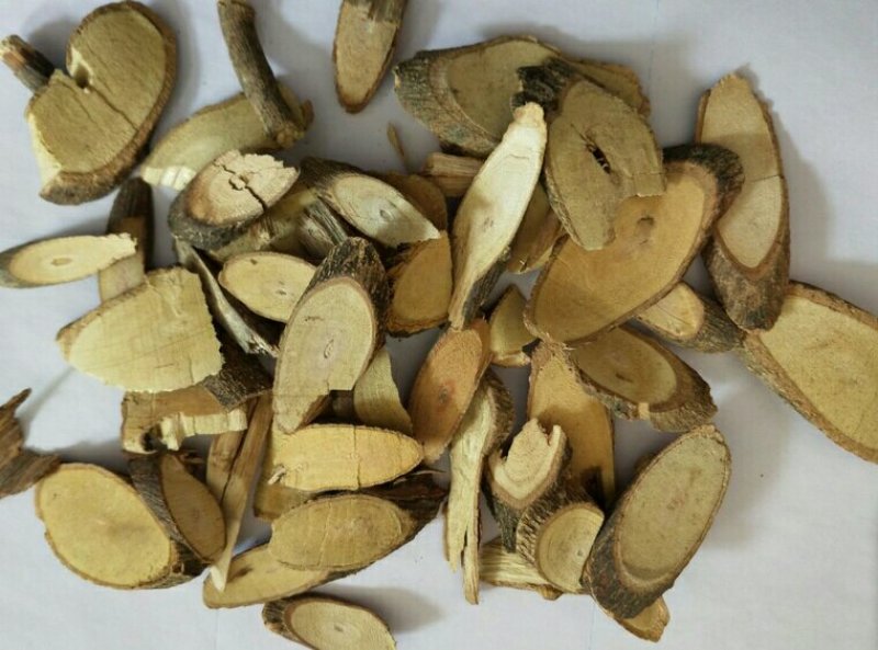 月季花根月月红根产地直供支持线上交易可搭配多品种采购