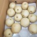 精品蜜梨口感好质量优【赵县专业合作社】甜蜜上市中