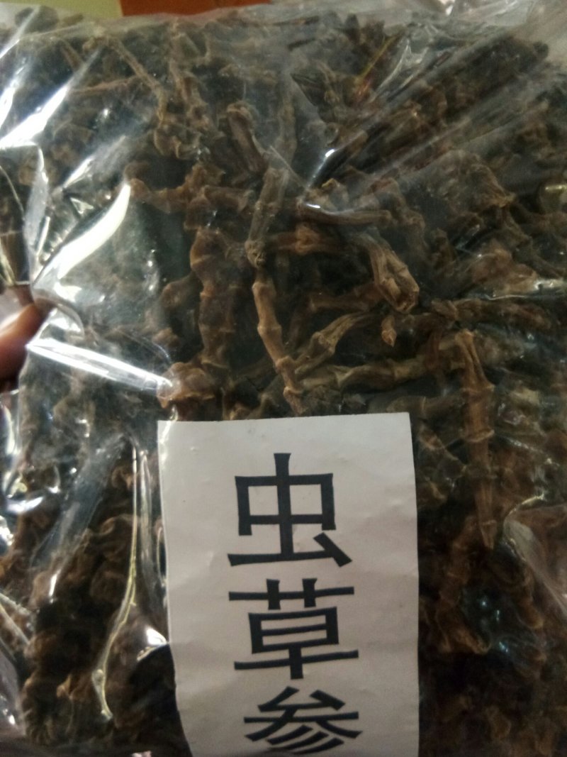 地参虫草参无硫农家晒干可泡酒煲汤药用干品