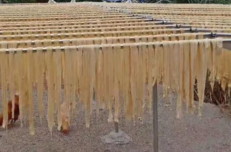 腐竹