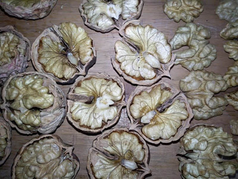 云南冷远大泡核桃