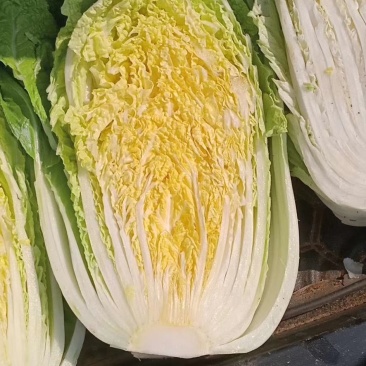 黄心白菜，货源充足，质量能保证，专业的工人团队。