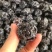 酸甜梅子蜜饯果脯厂家直销量多价优