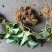 大量供应优质红颜草莓苗保证成活率红颜种苗（多买多送）