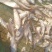 鱼干晒场直销【本品为展示用，具体价格请咨客服】