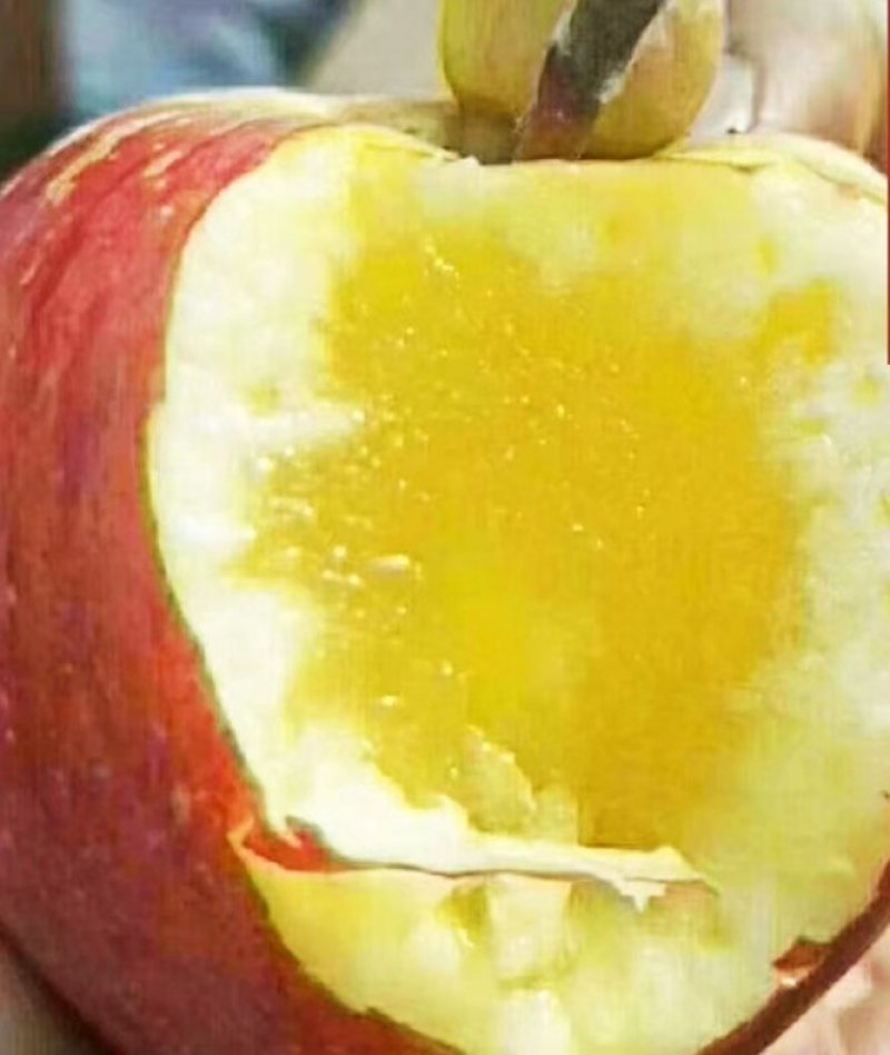 糖心苹果