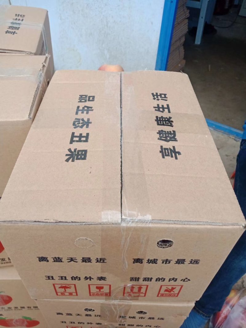 糖心苹果