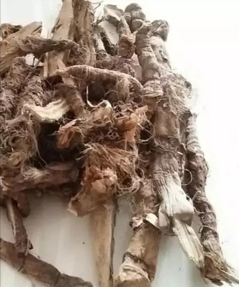 藏菖蒲，道地药材直供，质优价实，品质保证，药典标准