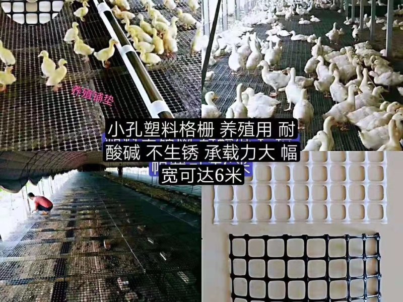 土工格栅，养殖网，玉米圈网