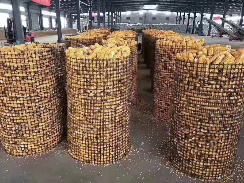 土工格栅，养殖网，玉米圈网