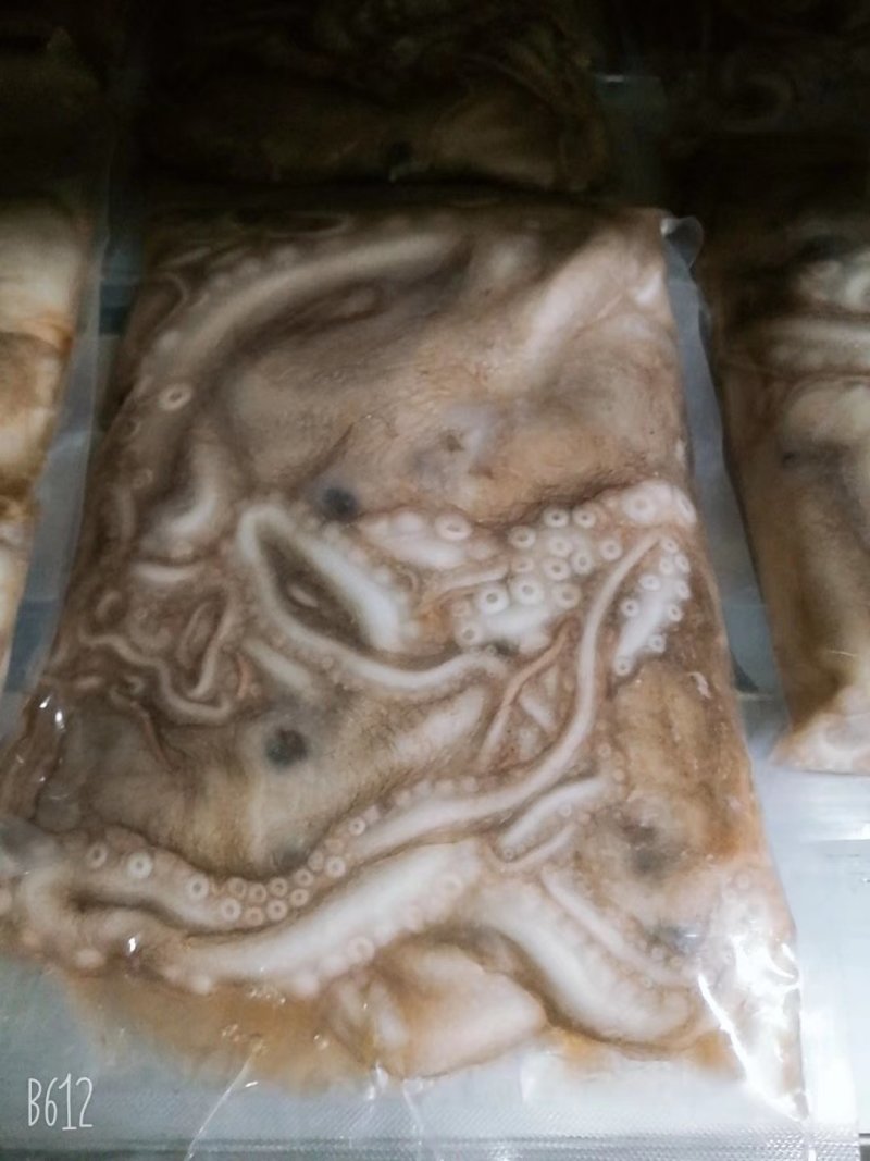 新鲜冷冻八爪鱼