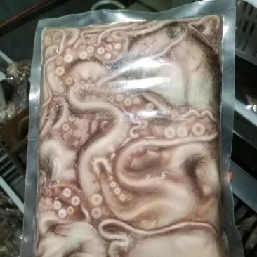 新鲜冷冻八爪鱼