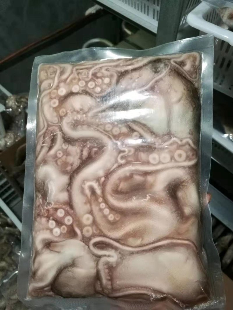 新鲜冷冻八爪鱼